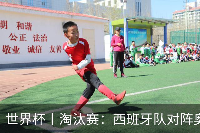 世界杯丨淘汰赛：西班牙队对阵奥地利队